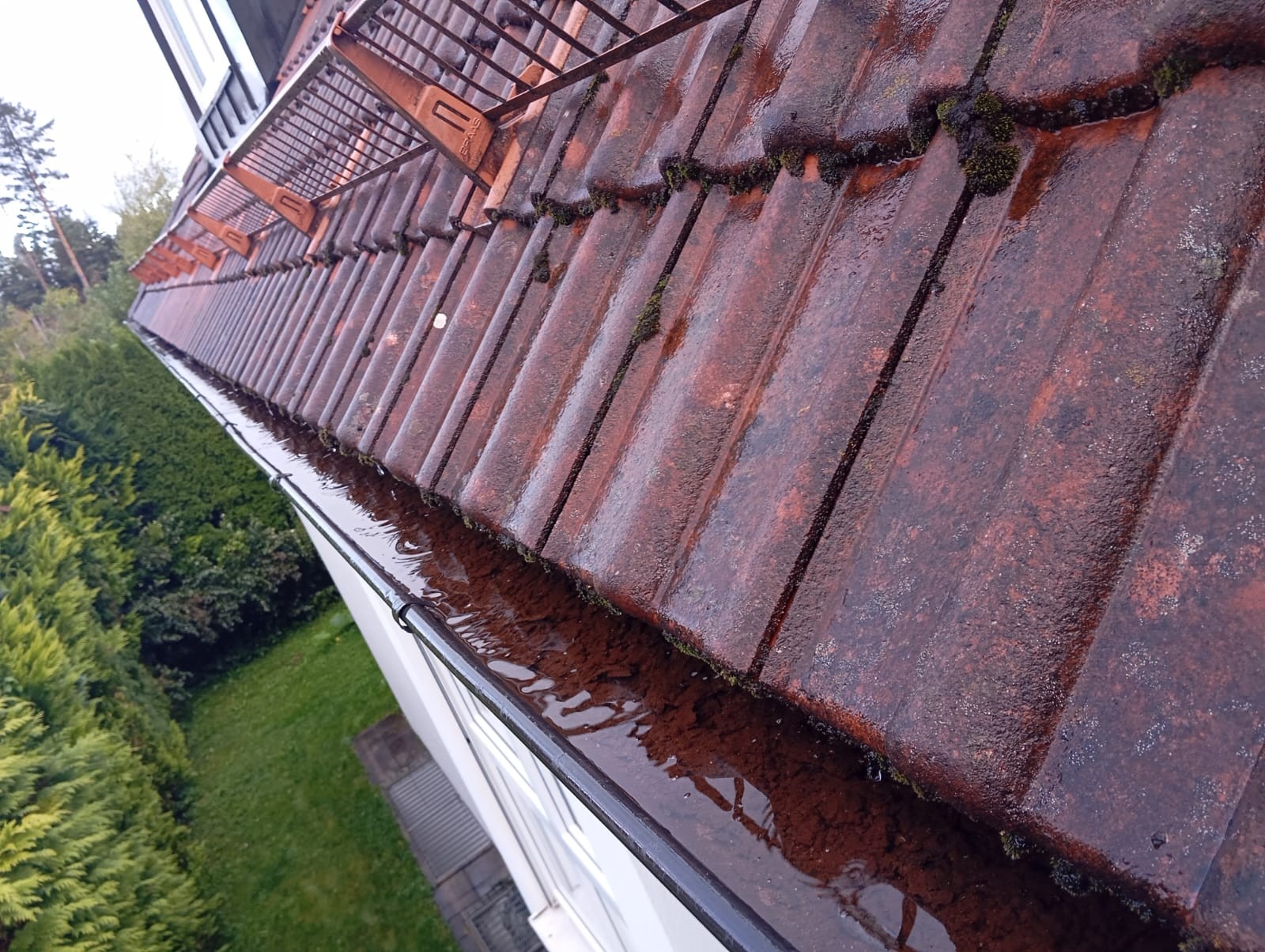 Dachrinnenreinigung