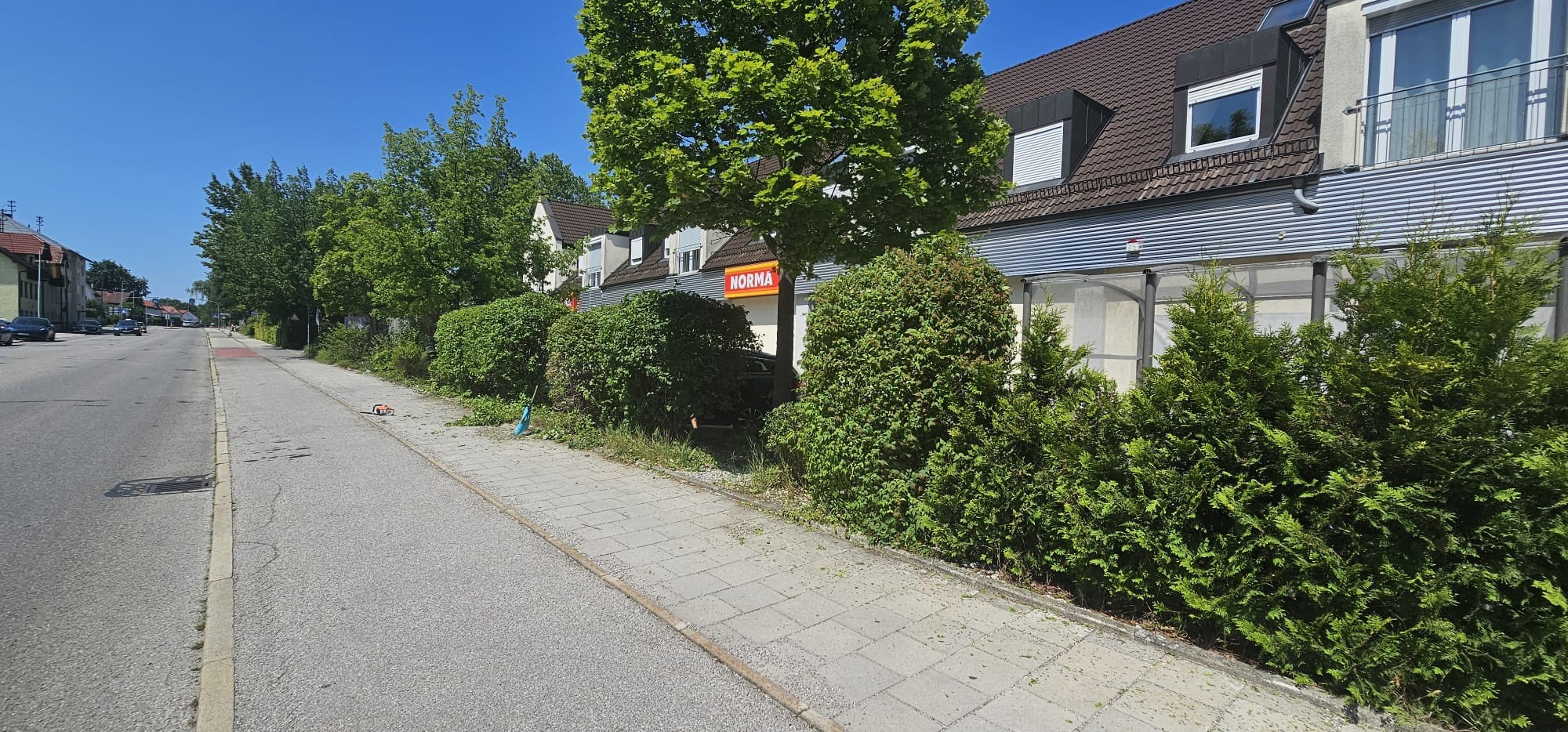 Heckenschnitt